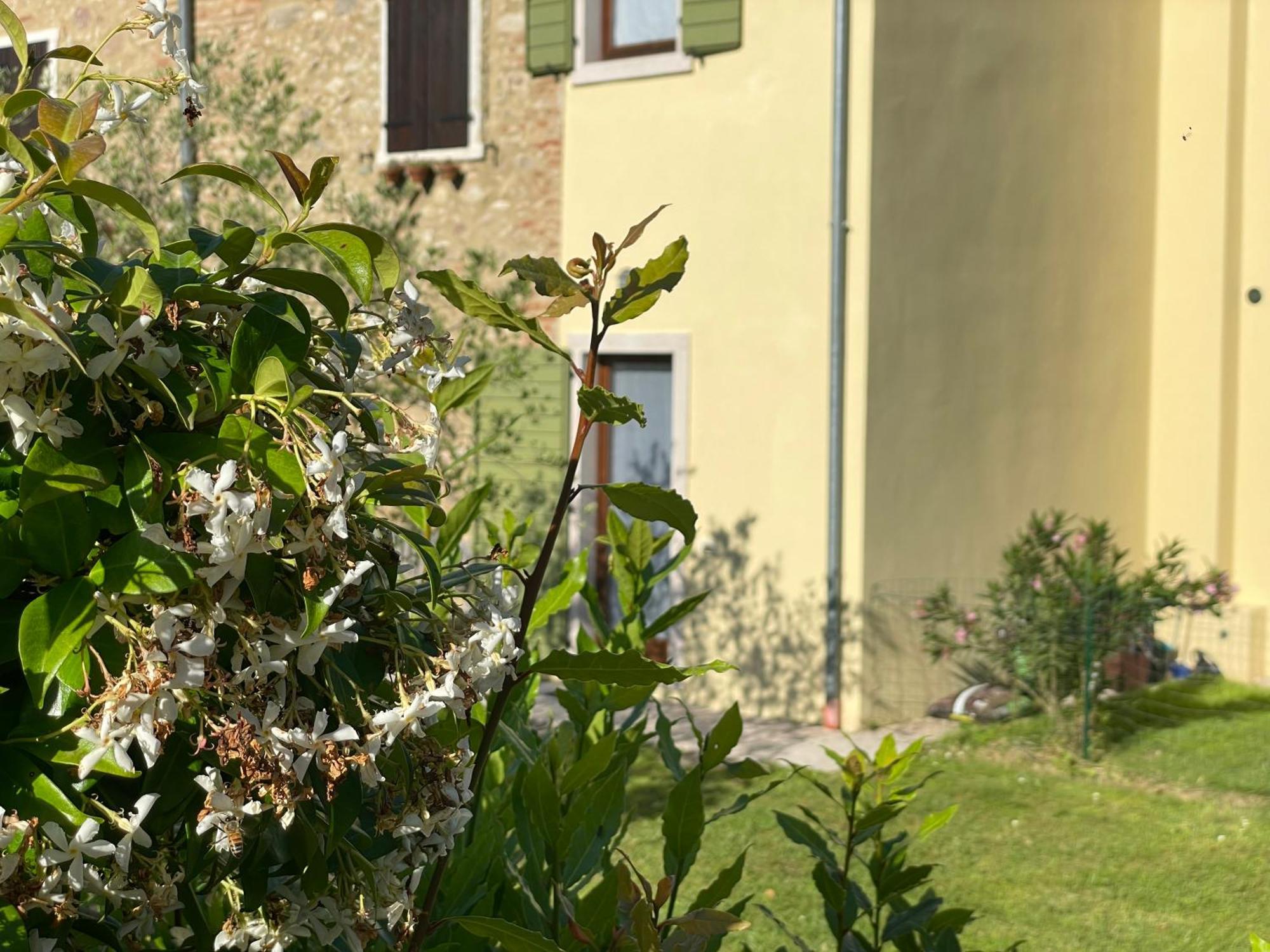 Casa Carlotte - Lago Di Garda Лацизе Экстерьер фото